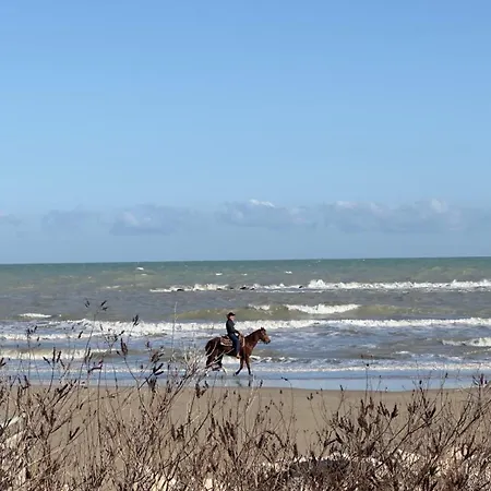 Lortica * 佩斯卡拉