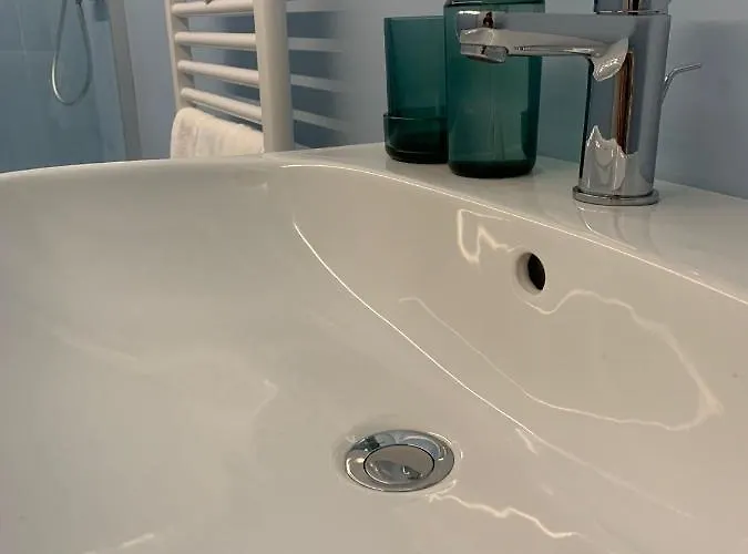 Lortica بيسكارا