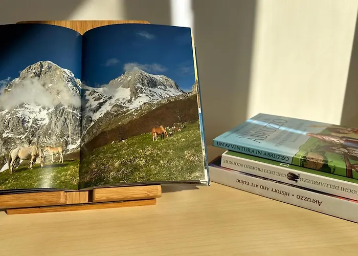 Lortica * بيسكارا